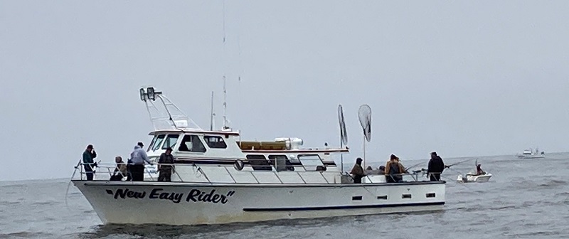 A party boat plies the waters off the Golden Gate Bridge in search of Chinook salmon.